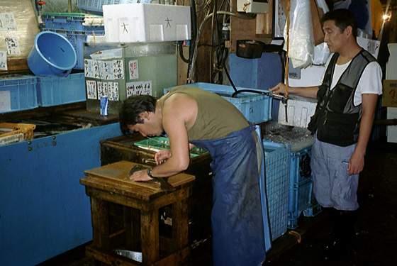 Tokyo Fishmarket